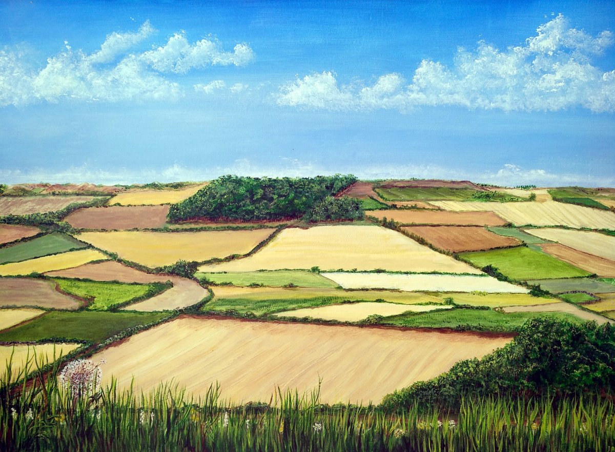 Cotswold Vista