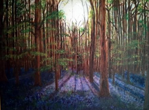 The Bluebell Forest